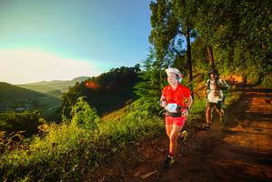 BIB: 
                            <button type="button" onclick="openModal(19168701)" class="btn btn-primary btn-sm float-right btn-popup" data-toggle="modal" data-target=".modal-high-quality">
                        <i class="fas fa-shopping-cart"></i> Add to Cart
                    </button>
                                            <button type="button" onclick="isThisMe(19168701, true)" class="btn btn-success btn-sm float-right btn-popup btn-isme hidden" data-toggle="tooltip" data-placement="bottom" title="นี่คือรูปของคุณใช่ไหม คลิกที่นี่เพื่อเอาเข้าอัลบั้ม">
                        <i class="fas fa-plus"></i> Add to album
                    </button>
                    <button type="button" onclick="isThisMe(19168701, false)" class="btn btn-warning btn-sm float-right btn-popup btn-isnotme hidden">
                        <i class="fas fa-ban"></i> Remove from album
                    </button>